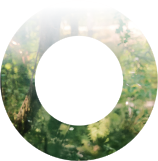 Наталия Кузнецова