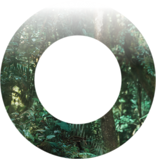 Миша Ронкаинен