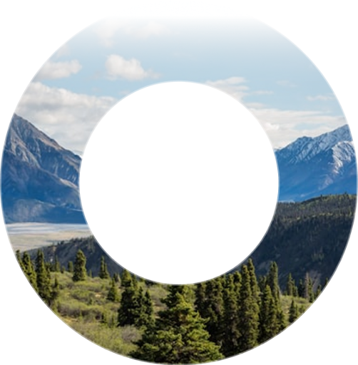 Андрей Понкратов