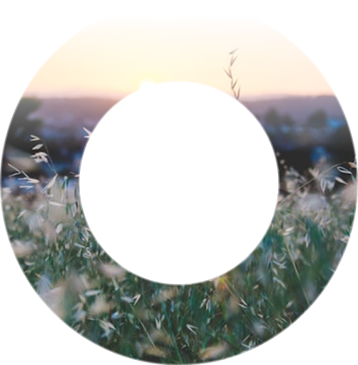 Алина Пекова