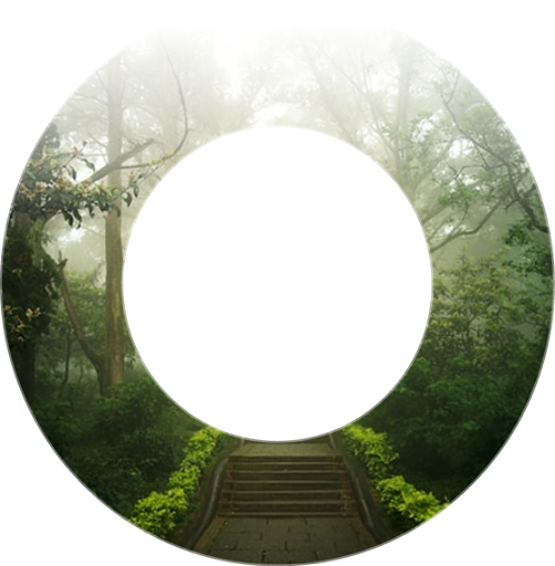 Роман Лобашов