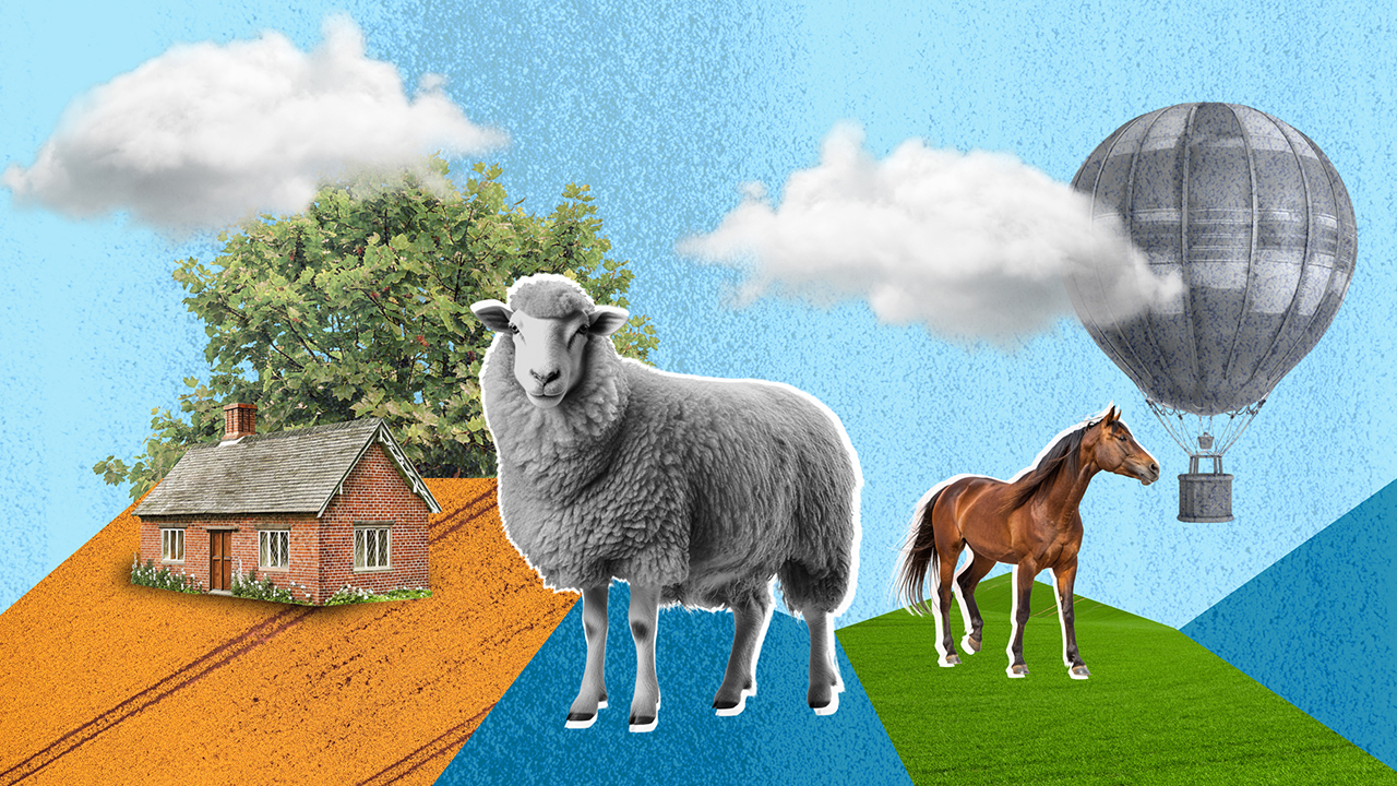 5 животных, которые изменили ход истории