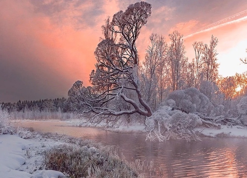 Январское солнце