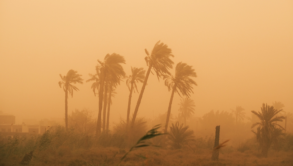 Оранжевое небо над Хургадой: туристов эвакуировали с пляжей из-за песчаной бури