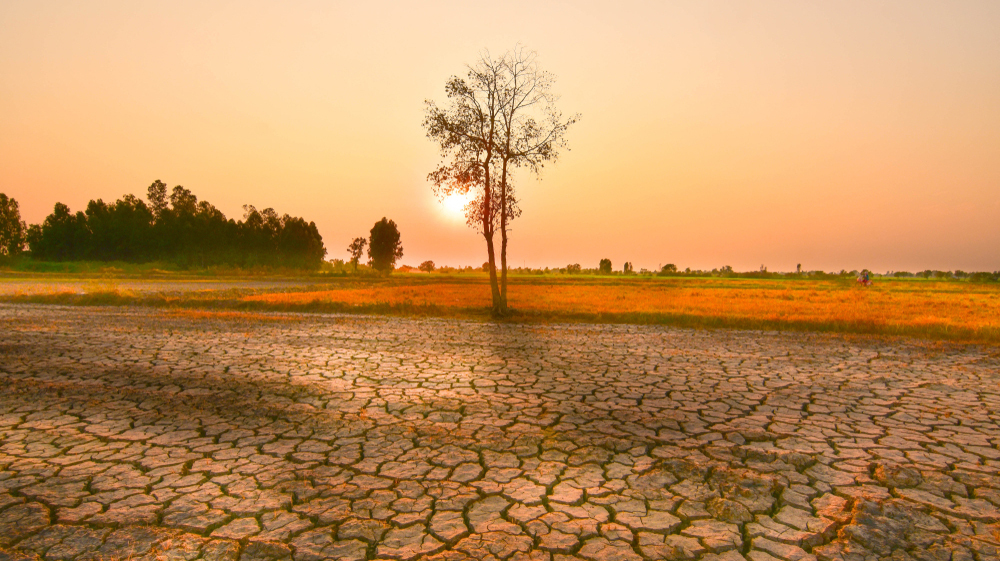 Эль-Ниньо может вернуться в 2026 году и сделать планету еще жарче