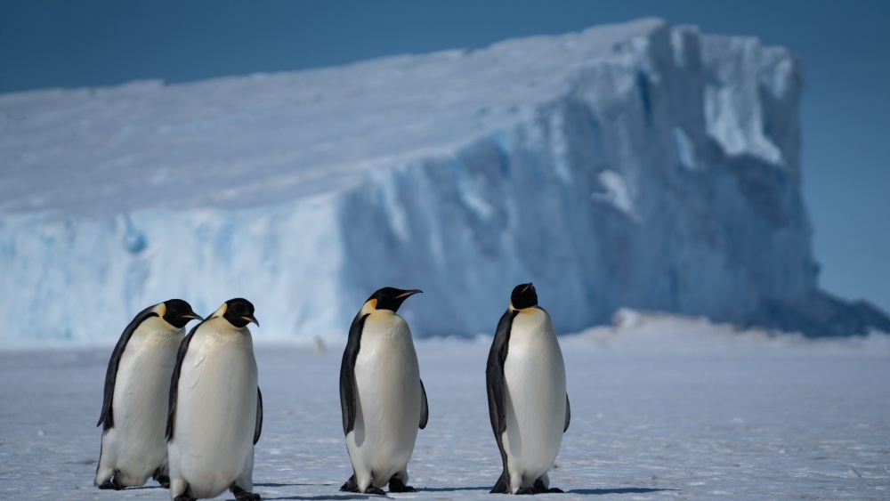 Лед Антарктиды скрывает реки и долины: ученые составили карту