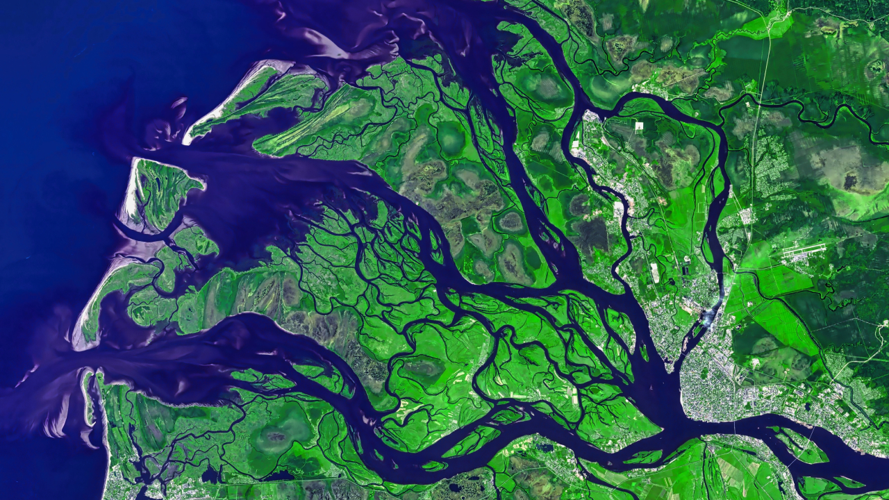 Суша в дельтах рек крупнейших рек опускается быстрее, чем поднимается море