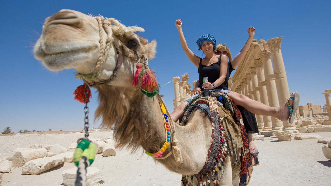 Сбежать от холодов: куда поехать на новогодние праздники — в Турцию или Египет