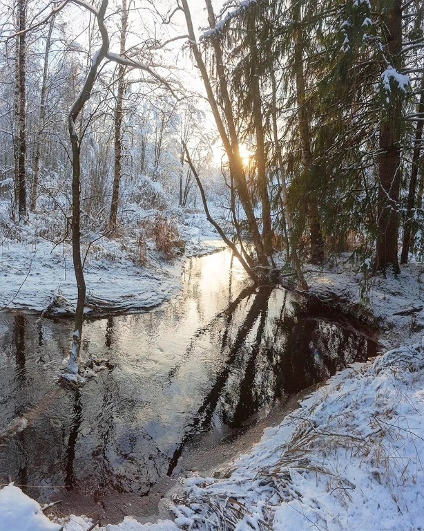 Предзимье