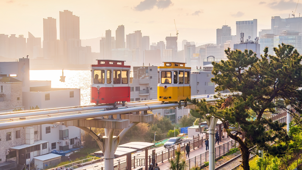 Нет массовых отказов: туроператоры и власти опровергли слухи о проблемах со въездом в Южную Корею