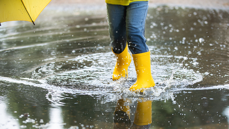 Кто живет в лужах