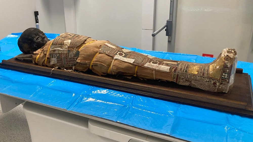 В груди 2000-летней египетской мумии обнаружен таинственный предмет