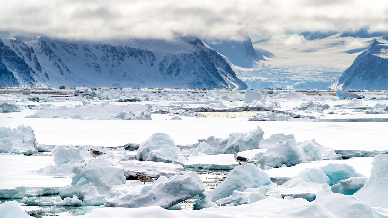 Шпицберген потерял рекордное количество льда