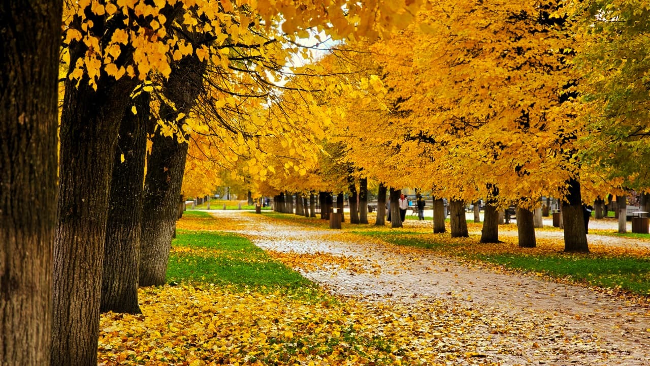 Телеканал «Моя Планета» снял документальный фильм о Старой Руссе