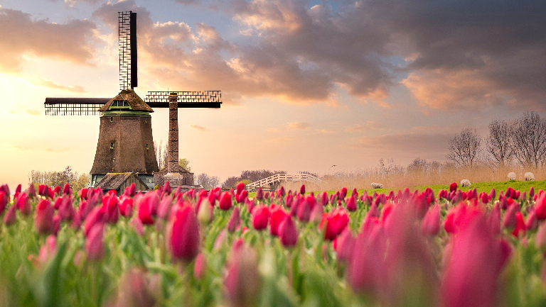 Почему Нидерланды называют Голландией