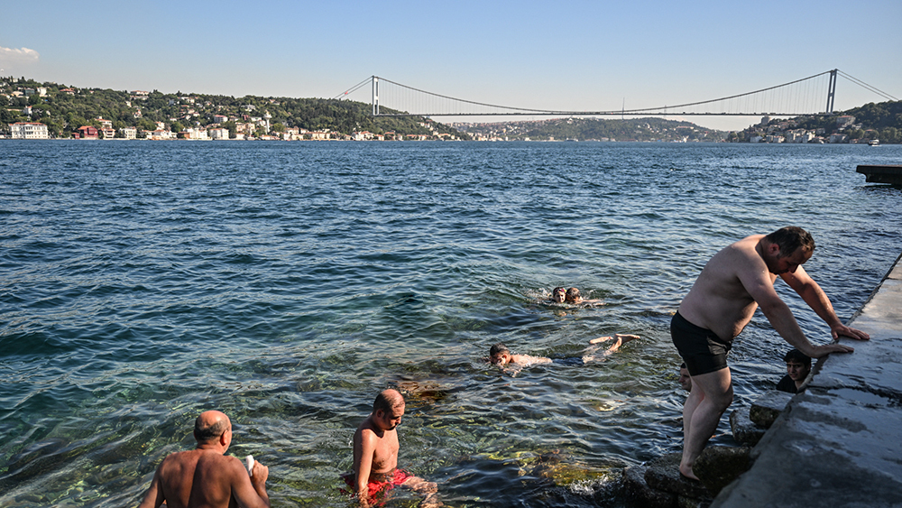 Переплыть Босфор: стамбульцы выбирают необычный путь на работу