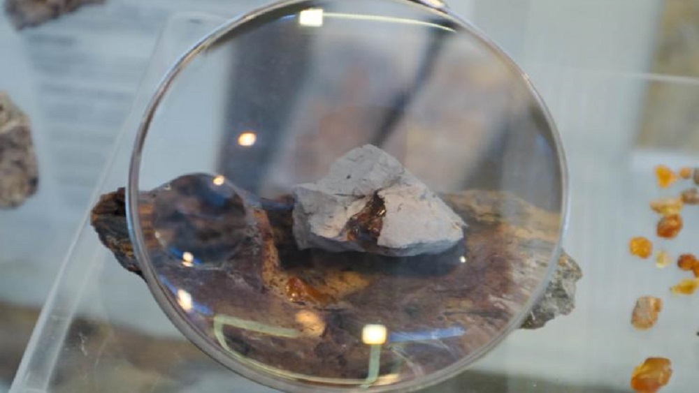 Самый древний на территории России янтарь нашли не в Прибалтике — ему 100 млн лет