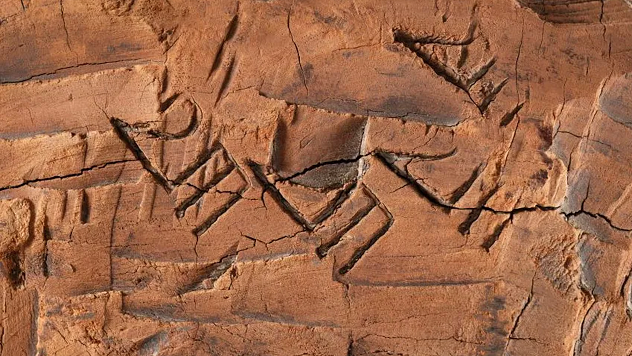 На затонувшем корабле 1323 года расшифровали надписи