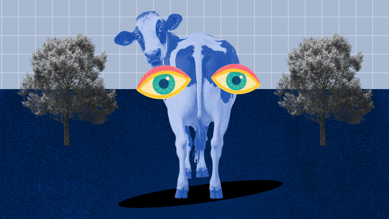 5 самых странных способов охранять природу