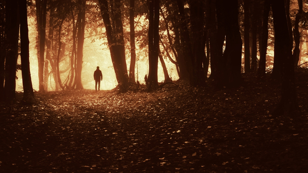 Отбивался от волков: на Урале найден турист, неделю выживавший в лесу