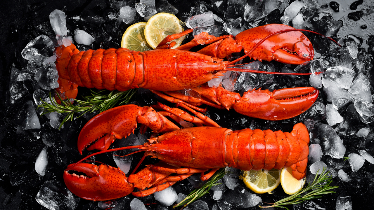 Дайте икру и лобстеров: на что жаловались застрявшие в Дубае россияне