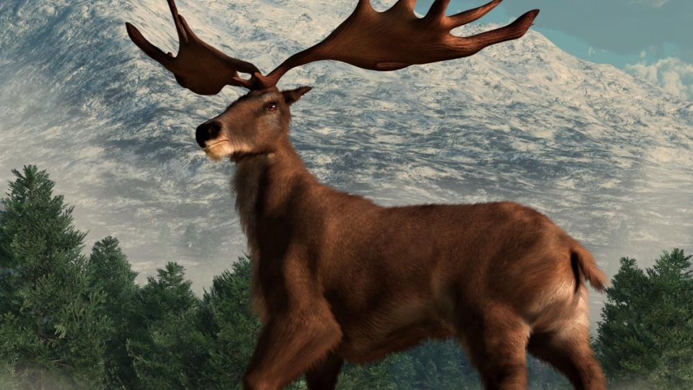 В канадском метро нашли окаменелость оленя ледникового периода