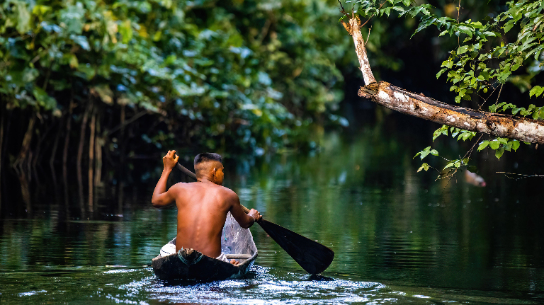 Мало и много: в каком языке нет чисел