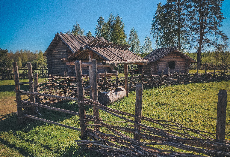 Что я увидела в экспедиции Малая Вишера — Мста — Окуловка?