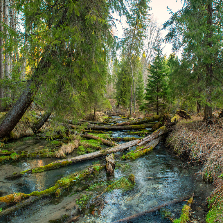 Фотографии уникальной реки Суводь