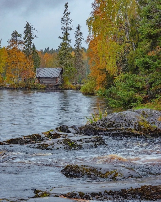 Краски осени