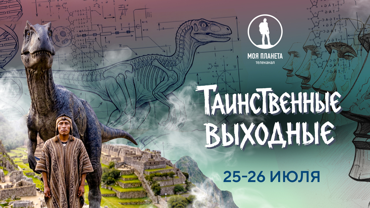Затерянный город Мачу-Пикчу и каменные истуканы острова Пасхи: телеканал «Моя Планета» представляет Таинственные выходные 