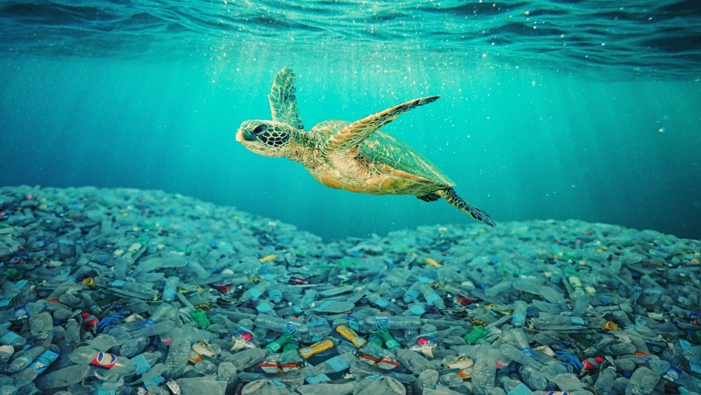 Ученые опровергли представление, что ПЭТ не разлагается в океане