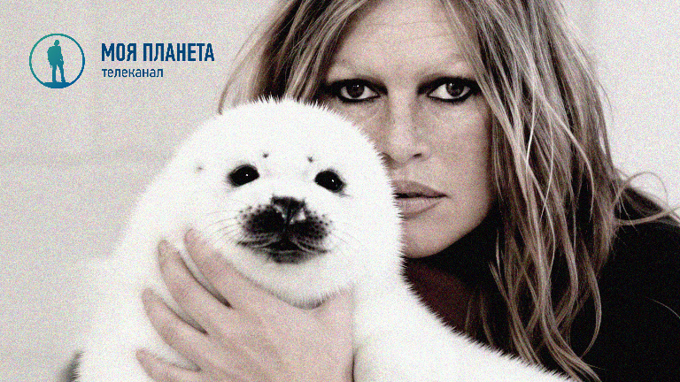 Памяти Брижит Бардо: премьера документального фильма «Брижит Бардо: клятва, данная животным» на «Моей Планете» 