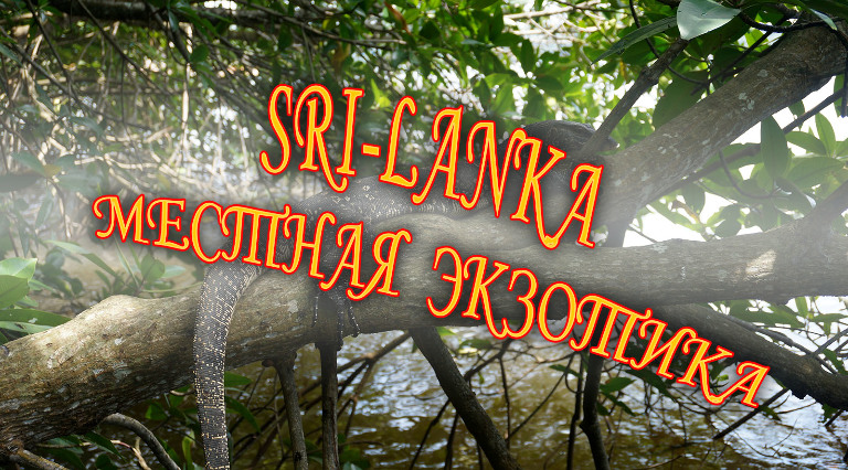 Srilanka. Прибрежная экзотика