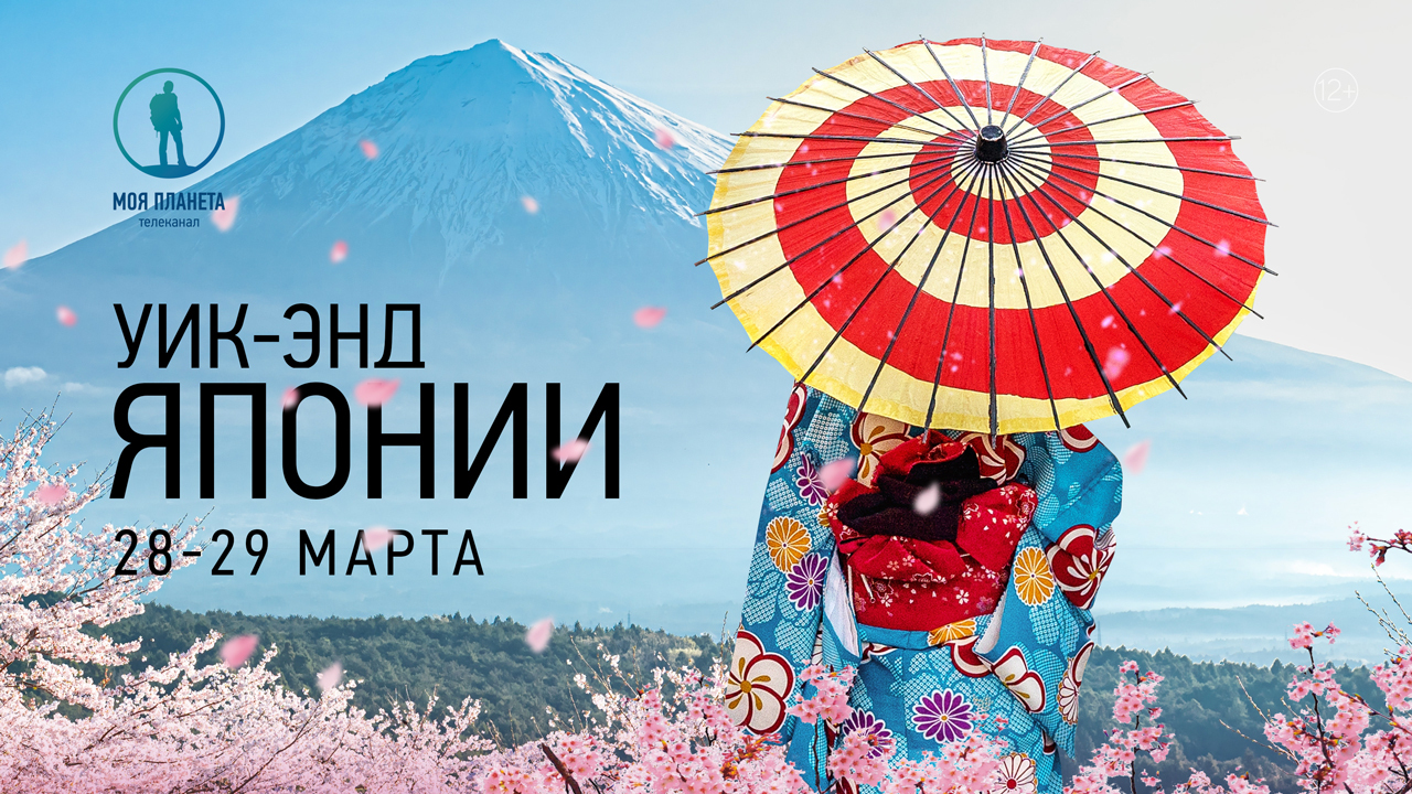 Якудза, роботы-официанты и беззаботная Осака: уик-энд Японии на «Моей Планете» 