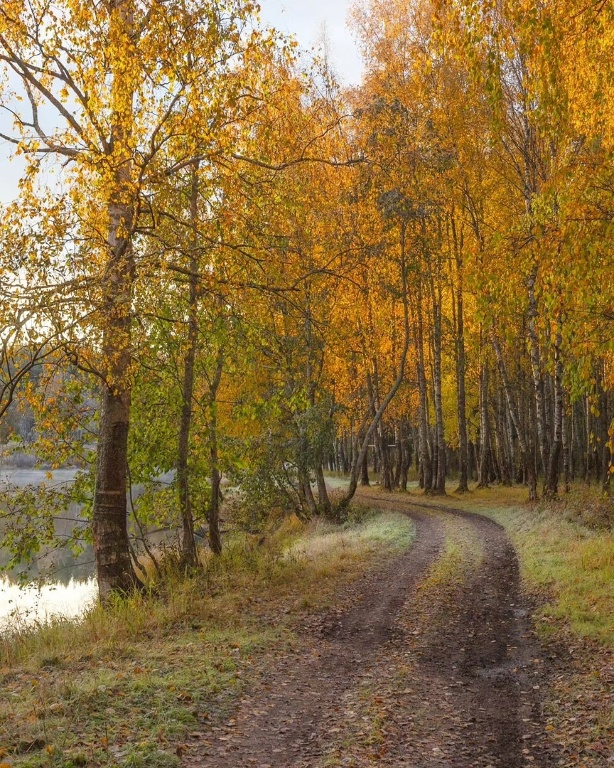 Осенние краски