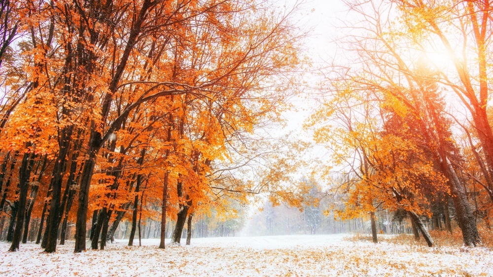 Зима на Урале: центр России завалило снегом