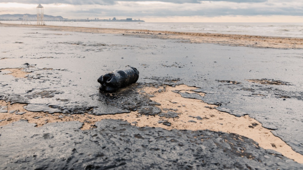 Нефтяное пятно от Туапсе растянулось на 60 км: новые данные