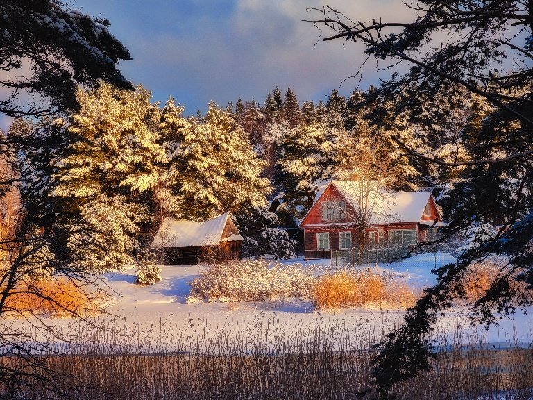 Морозные прогулки