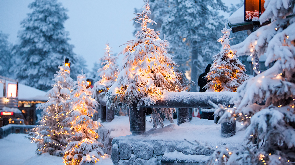 В иглах рождественских елок в Лапландии обнаружили частички золота