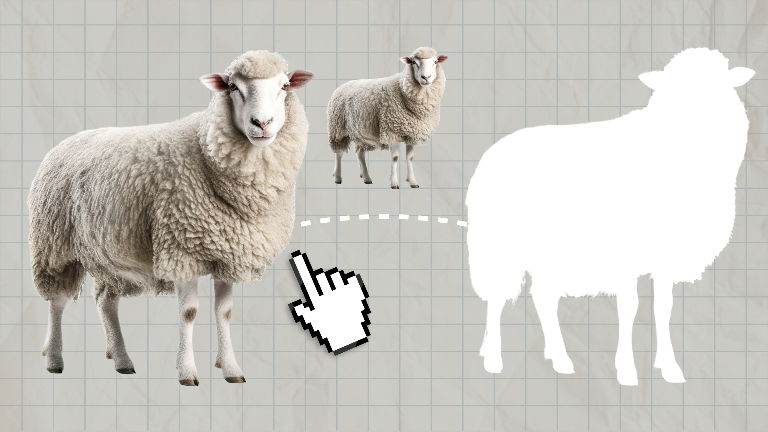 Морские ежи, коты и собаки: кого пытался клонировать человек