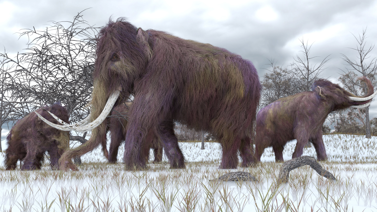 Мужчина в США достал из озера огромную кость мамонта