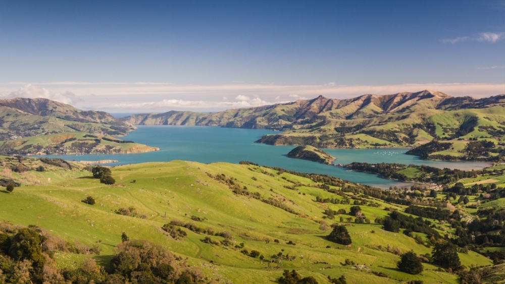 Новозеландцы обошли «сухой закон» на праздники, построив отдельный остров