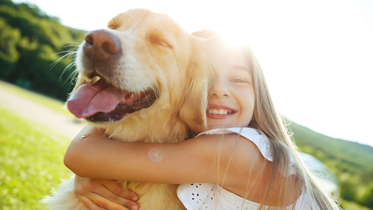 Почему именно собака — друг человека