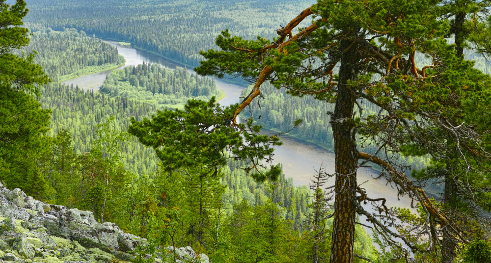 Река Печора: как ее воды чуть не объединили с Камой