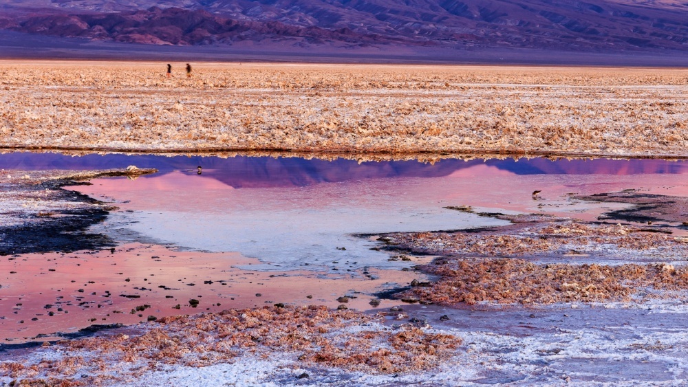 Пустыня в Австралии превратилась в море из-за рекордных осадков