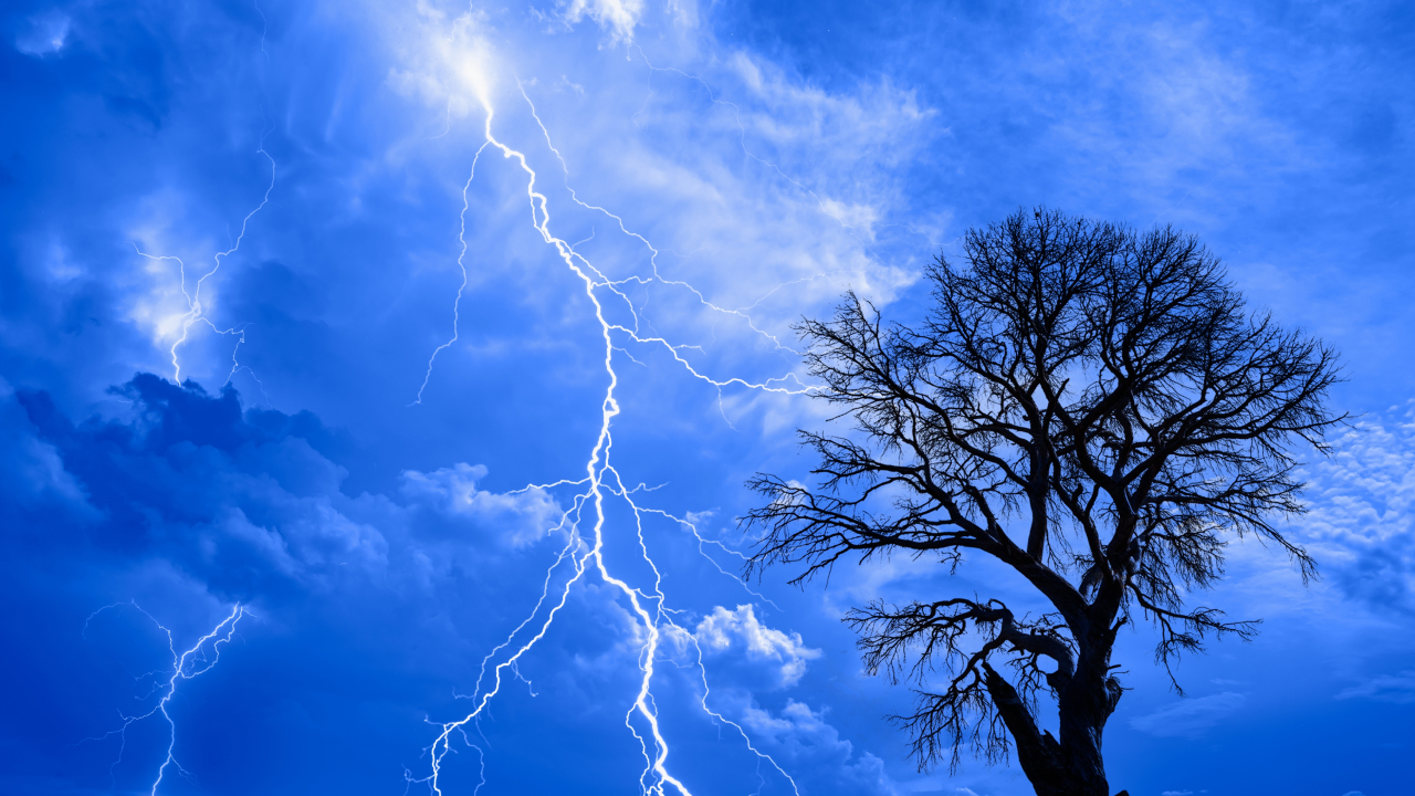 Грозы создают сияющие шлейфы над кронами деревьев — но люди их не видят