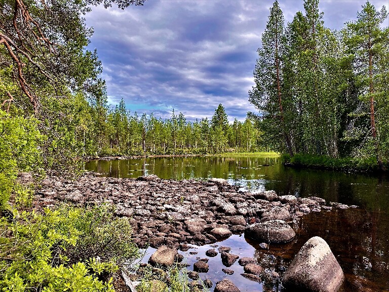 Карелия, река Поньгома