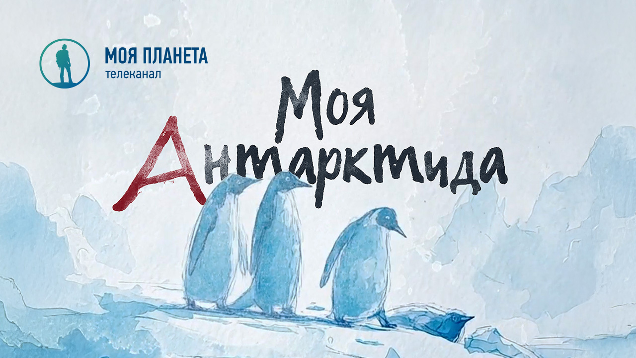 «Моя Планета» представит новый документальный фильм «Моя Антарктида» на борту ледокола «Красин»