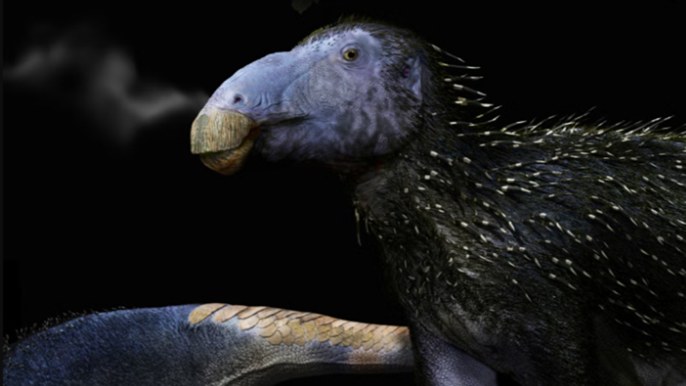 Необычного динозавра с сохранившейся кожей обнаружили палеонтологи